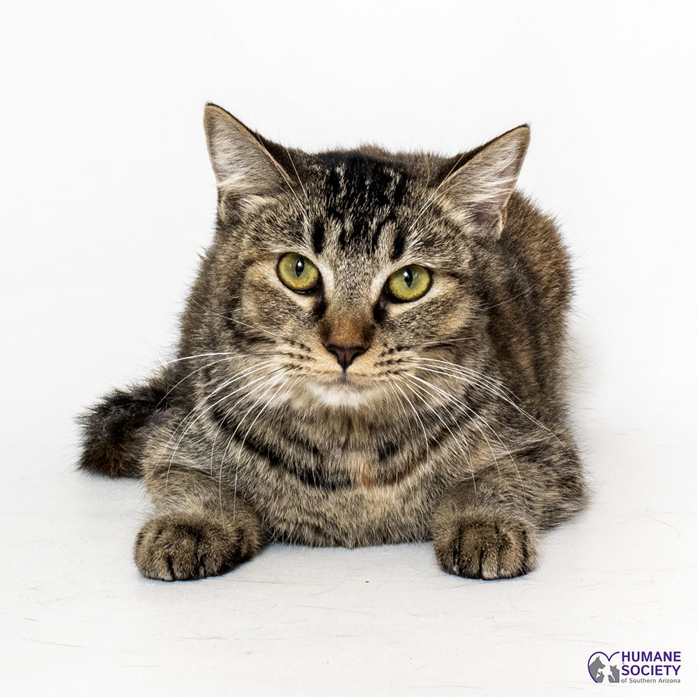 Adopt a friend: Courtney